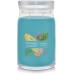Yankee Candle Bahama Breeze Scented, Signature 20oz Large Jar 2-Wick Candle, Over 60 Hours of Burn Time